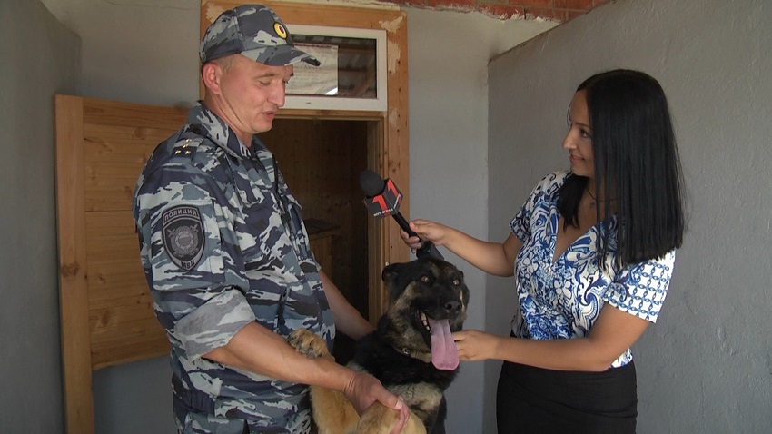 В Волгограде прошли областные соревнования специалистов-кинологов